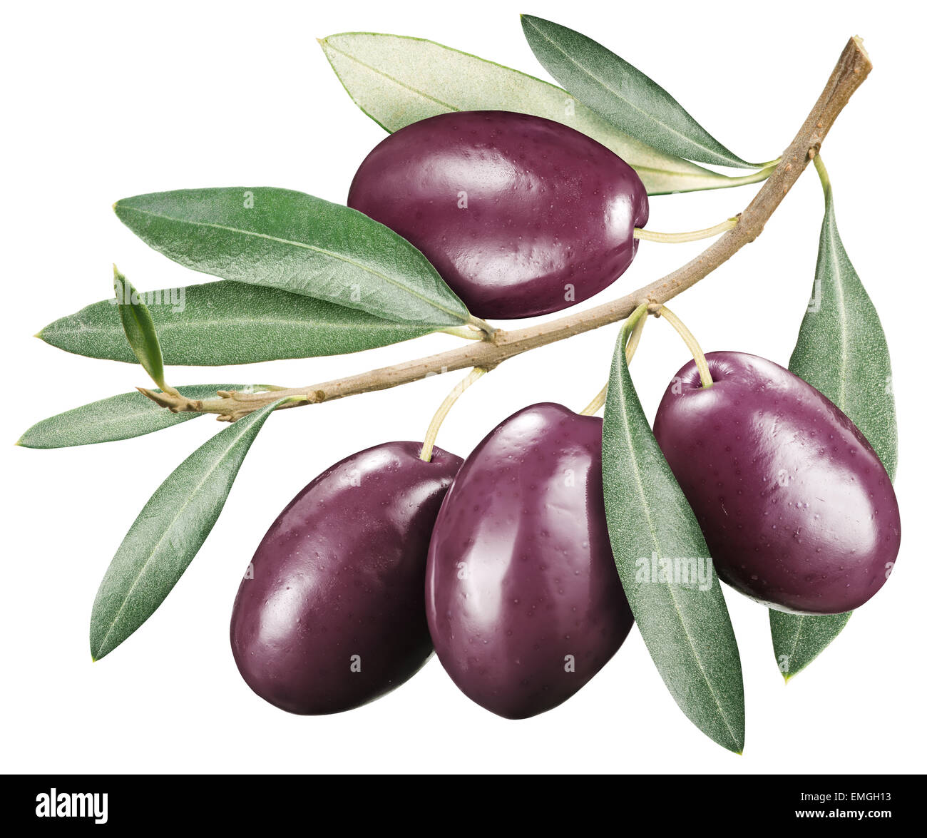 Kalamata olives with leaves on a white background. File contains clipping paths. Stock Photo