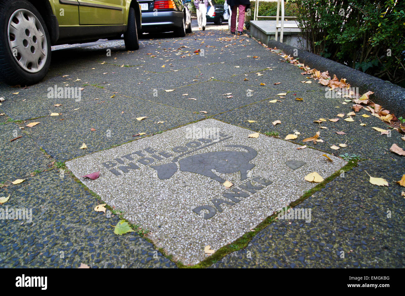 'Bitte in die Gosse, danke' anti dog fouling plaque on a pavement, Wuppertal, Nordrhein-Westfalen, Germany Stock Photo