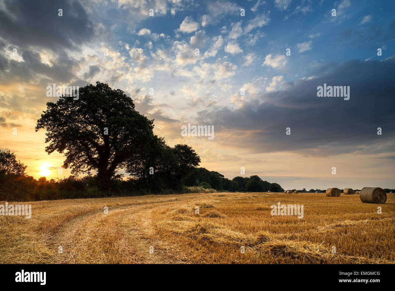 Beautiful summer sunset over field hi-res stock photography and images ...