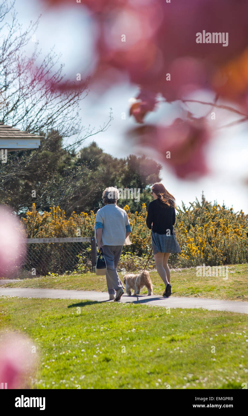 Two old ladies with dog hi-res stock photography and images - Alamy