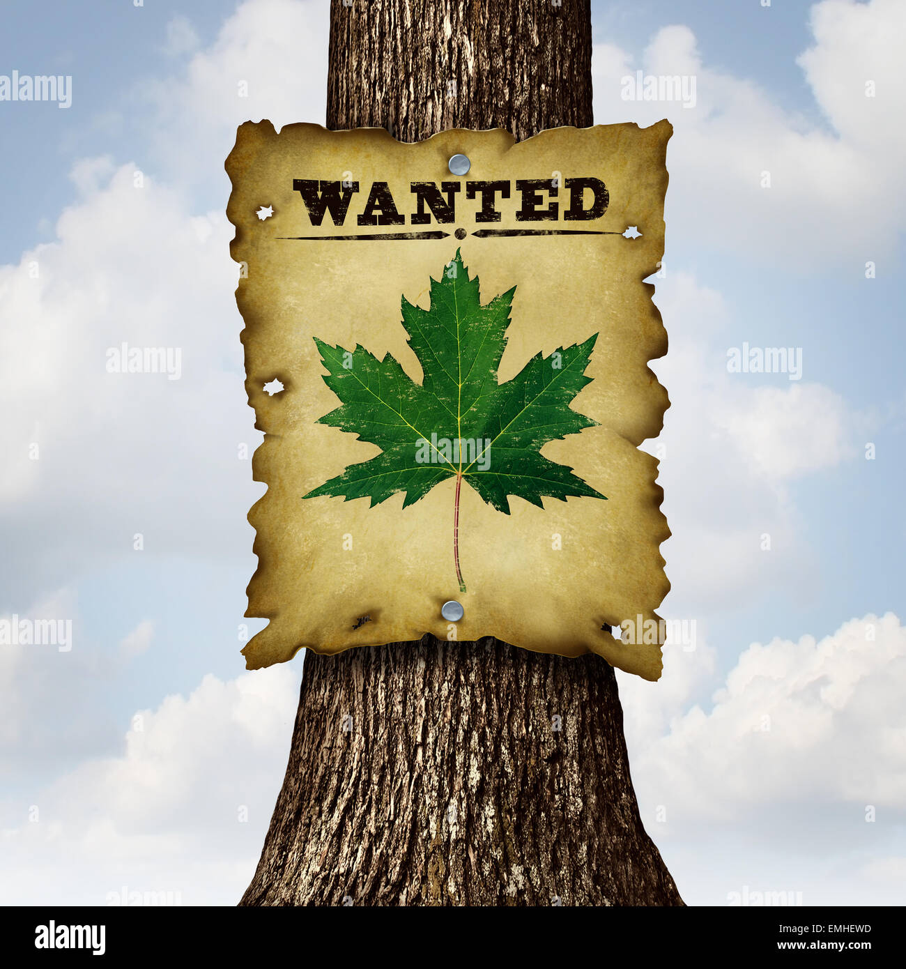 Environmentally Friendly green concept as a tree trunk and a wanted sign with a leaf as an ecology and conservation symbol or spring and springtime season icon. Stock Photo