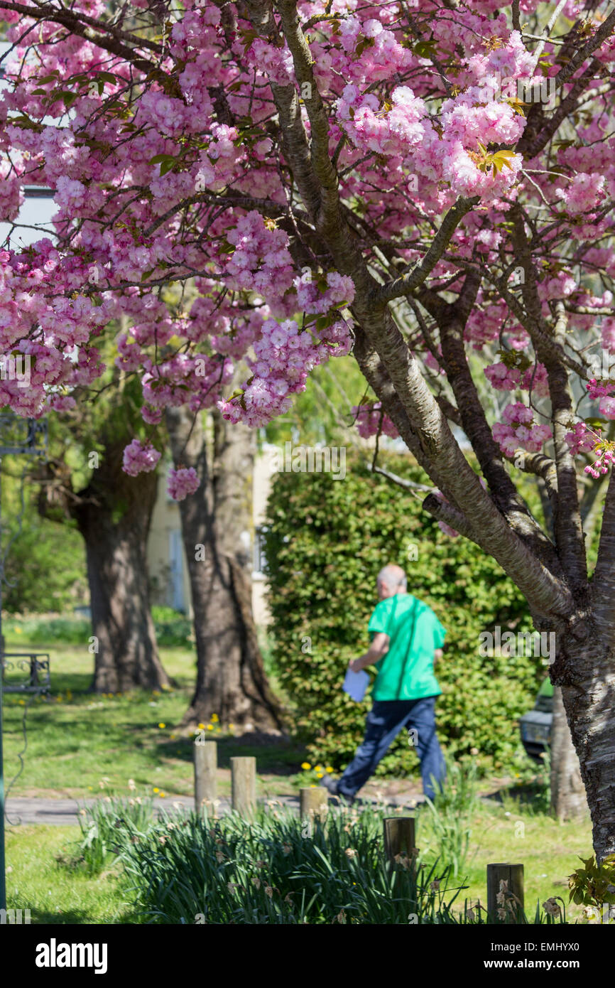 Bbc Weather Man High Resolution Stock Photography And Images Alamy