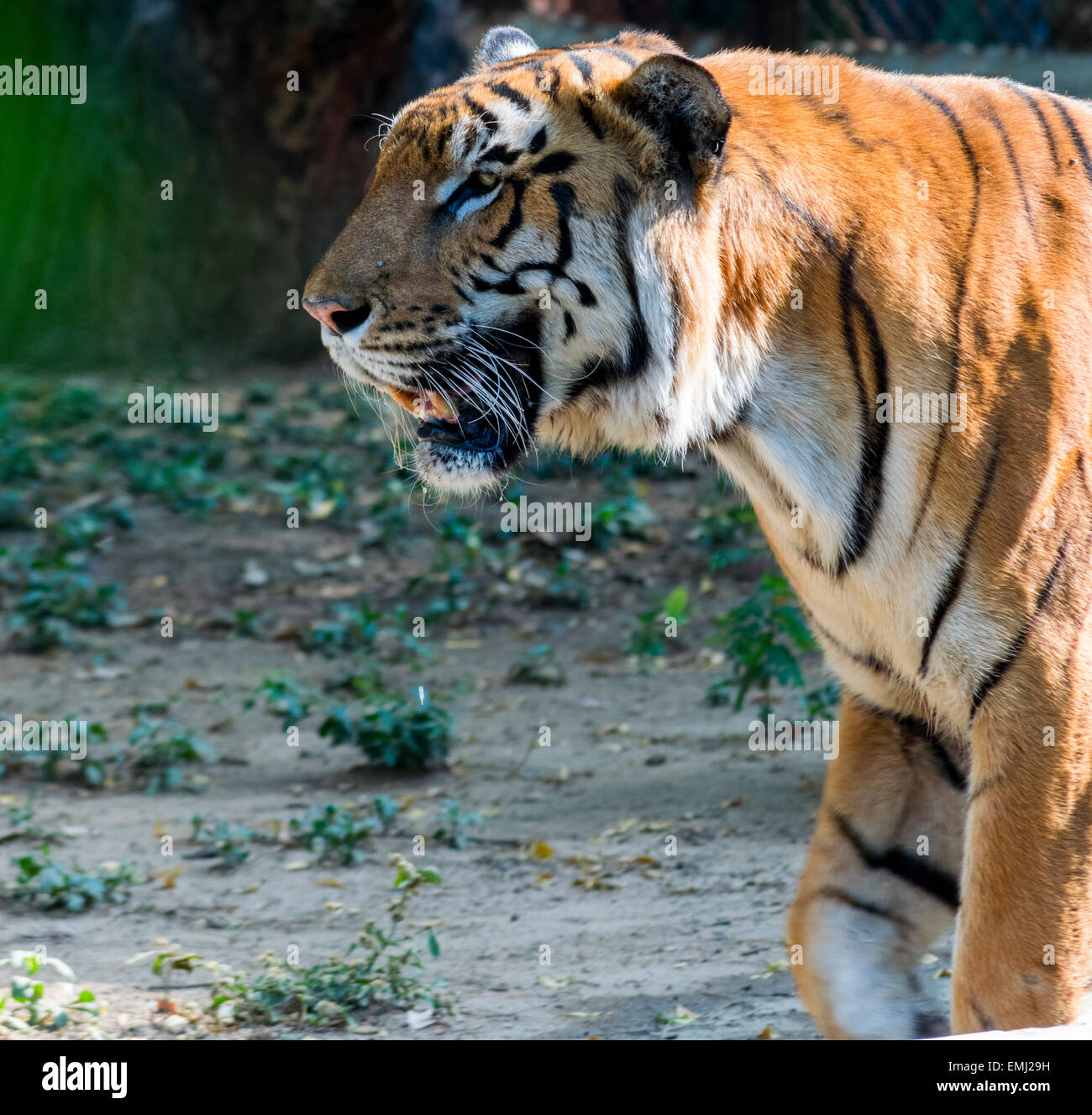 My Image 23