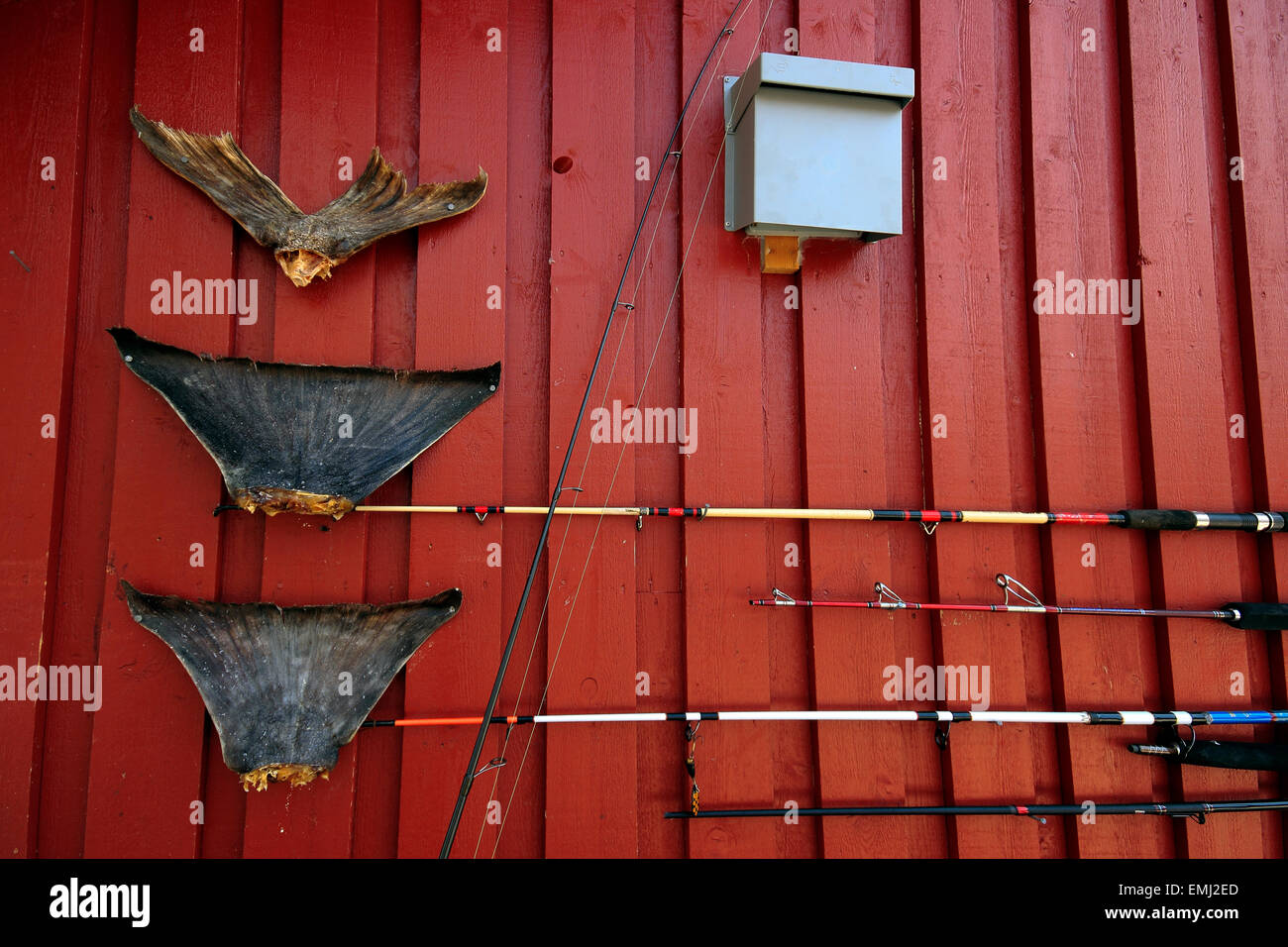 Cod Tails And Fishing Tackle On The Side Of A Cabin Fishing