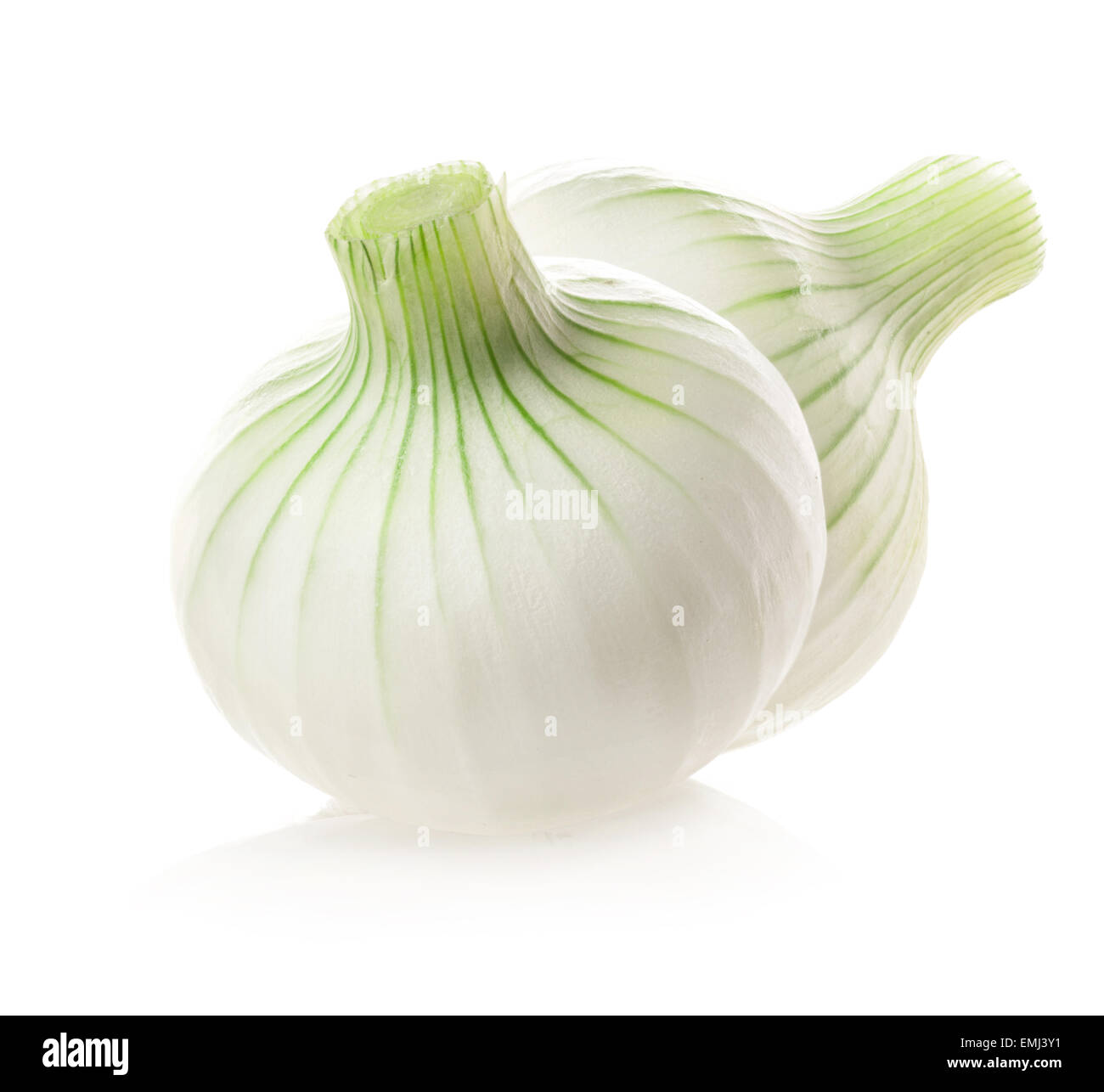 Onions Shallots Garlic And White Onion Single, Color, Eating, White Onion  PNG Transparent Image and Clipart for Free Download