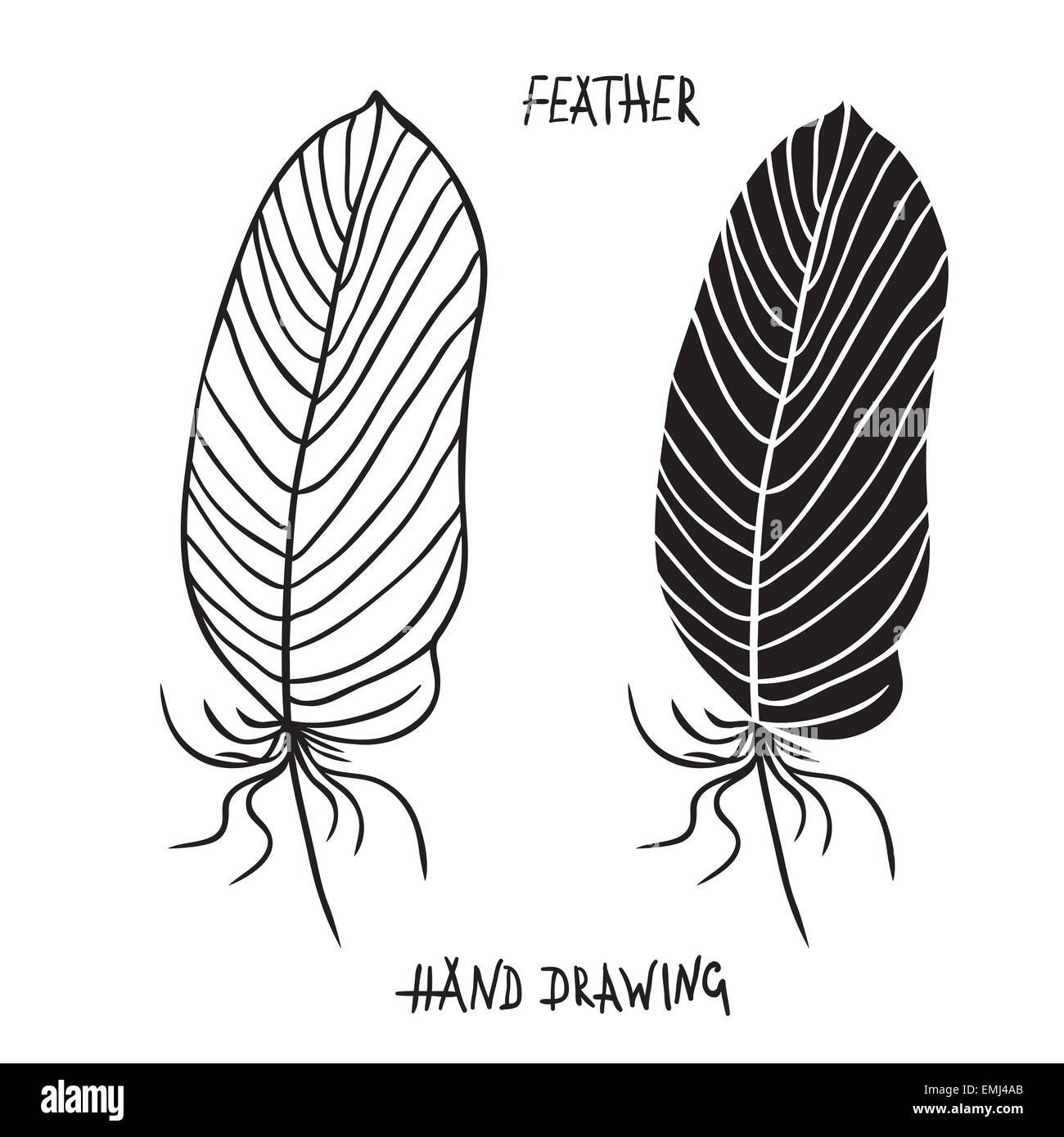 Hand drawn silhouettes of feathers in black and white. Vector ...