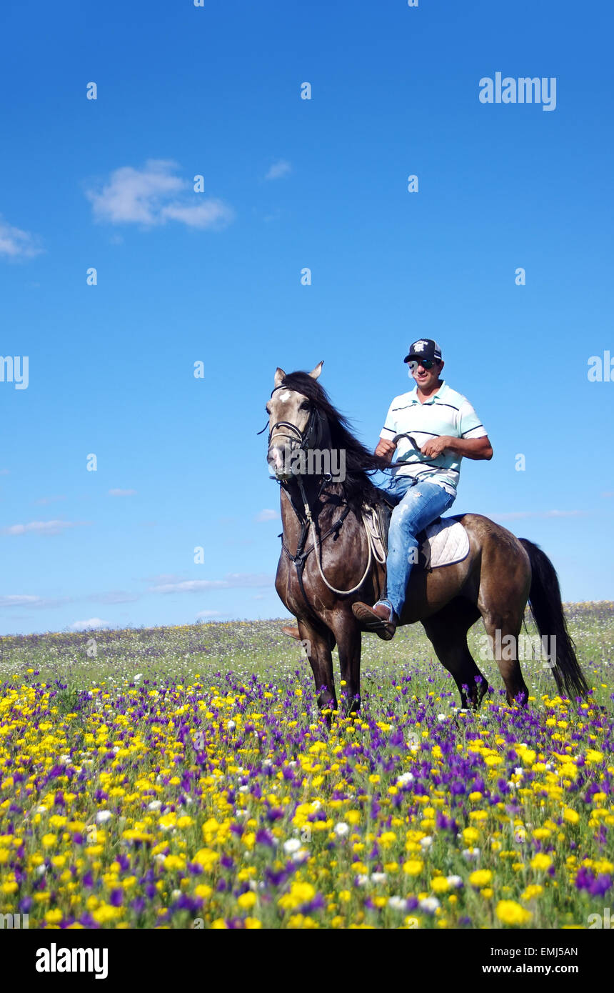 Young man with his horse on field Stock Photo - Alamy