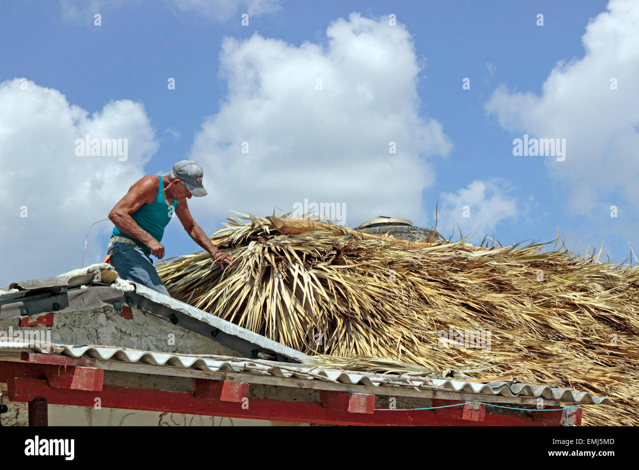 Elderly man works on a straw roof of a Beach house on the beach at Zapata Peninsula Cuba Stock Photo