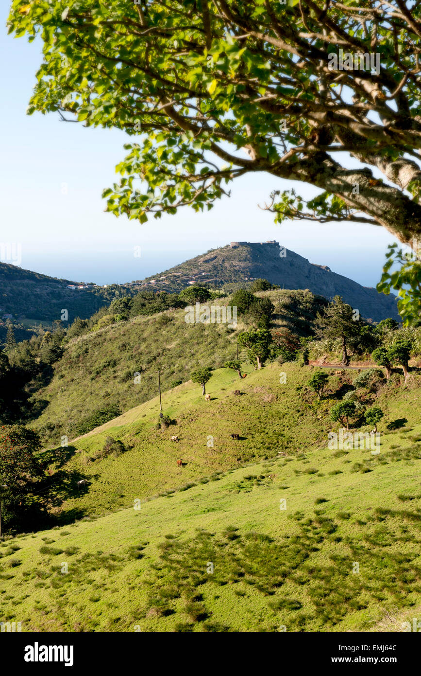 High Knoll fort from the Alarm Forest Area St Helena Island Stock Photo