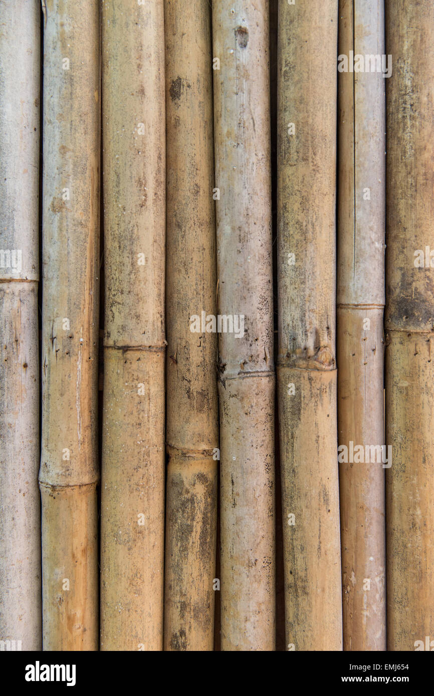 bamboo cane wall texture Stock Photo Alamy