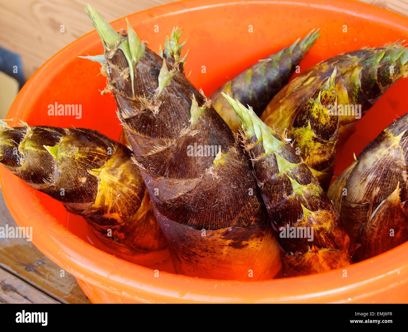 Cut bamboo shoots hires stock photography and images Alamy