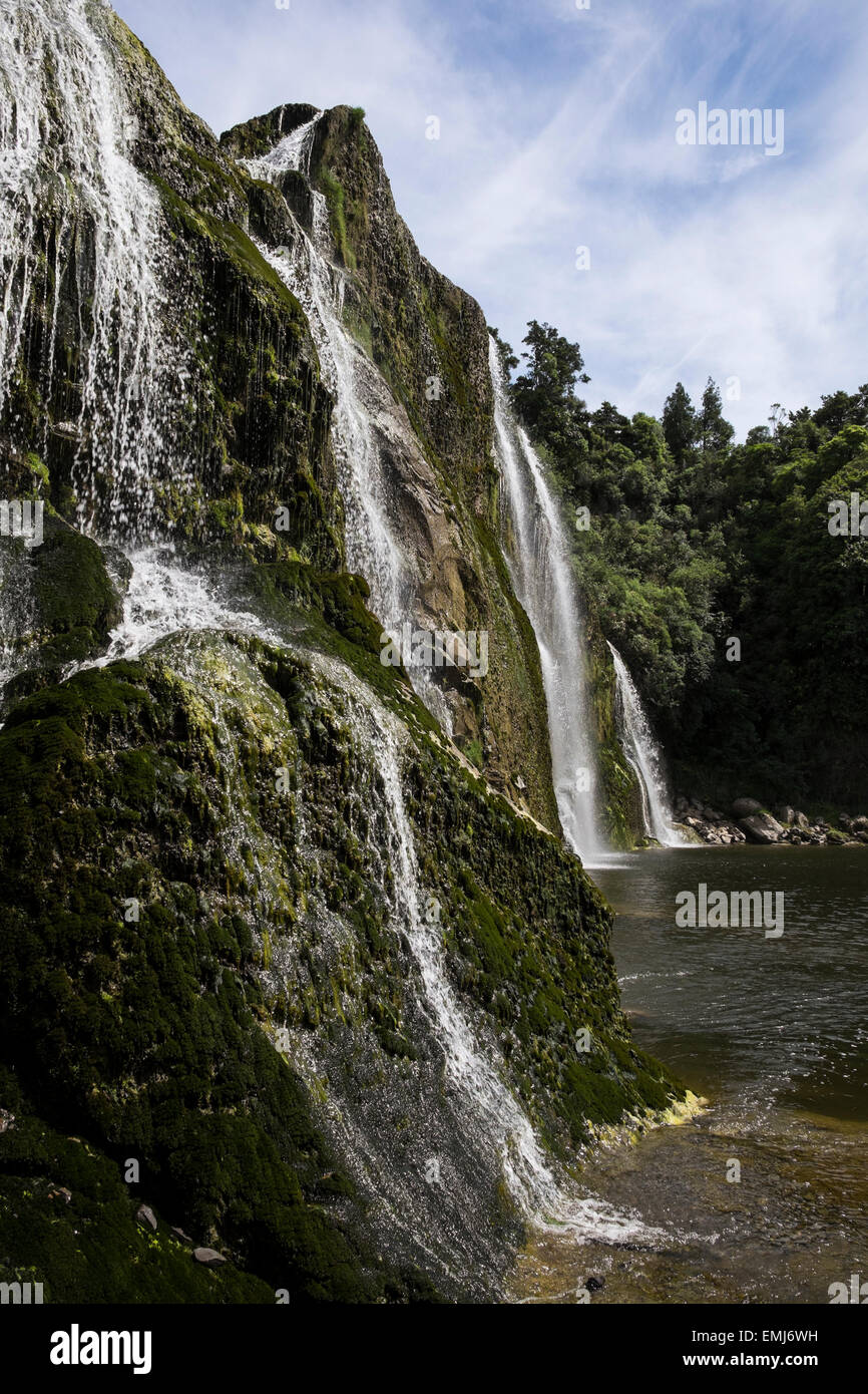 Waihi falls near Dannevirke and Pongaroa, New Zealand Stock Photo Alamy
