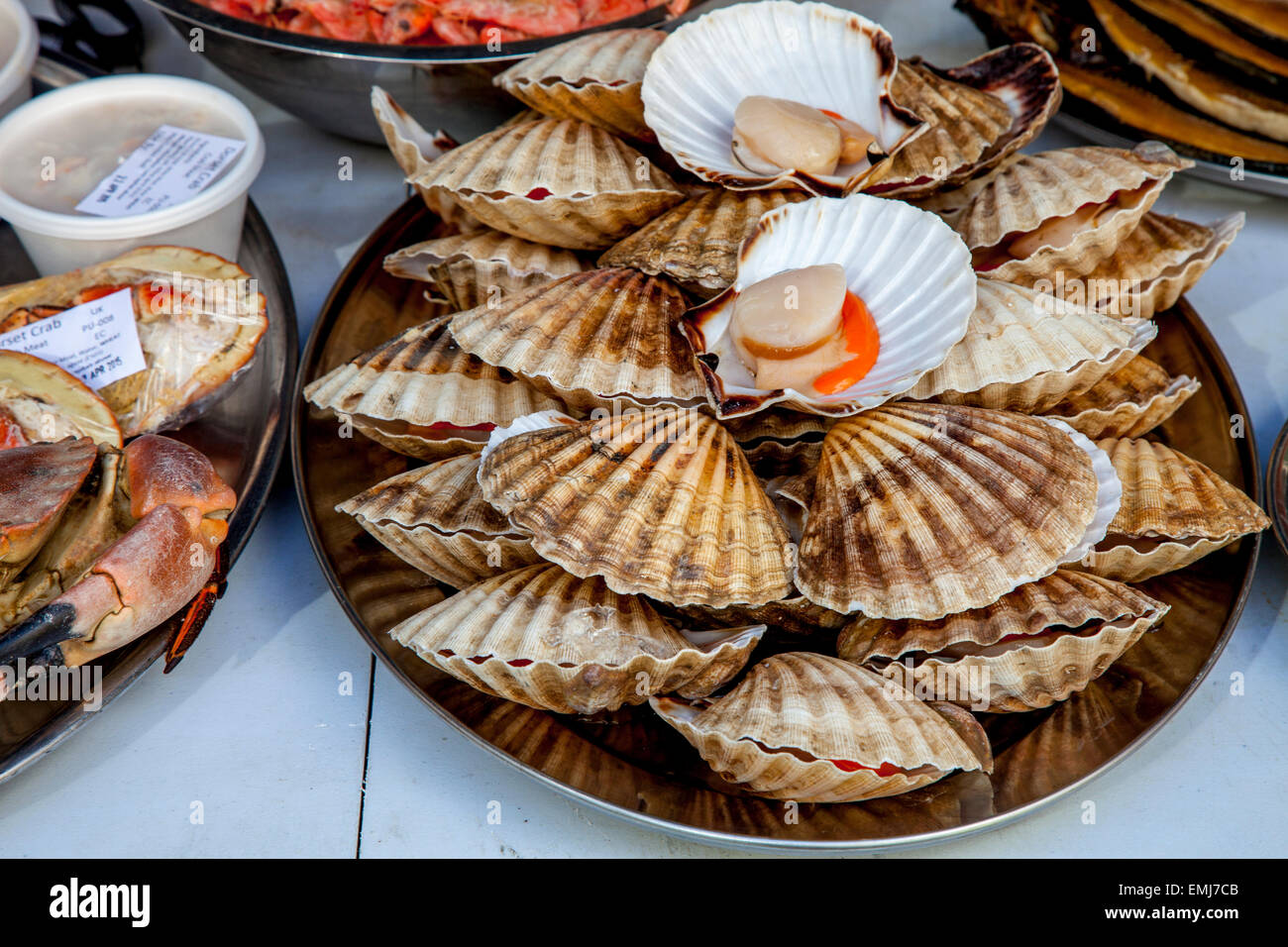 Fresh scallops hires stock photography and images Alamy