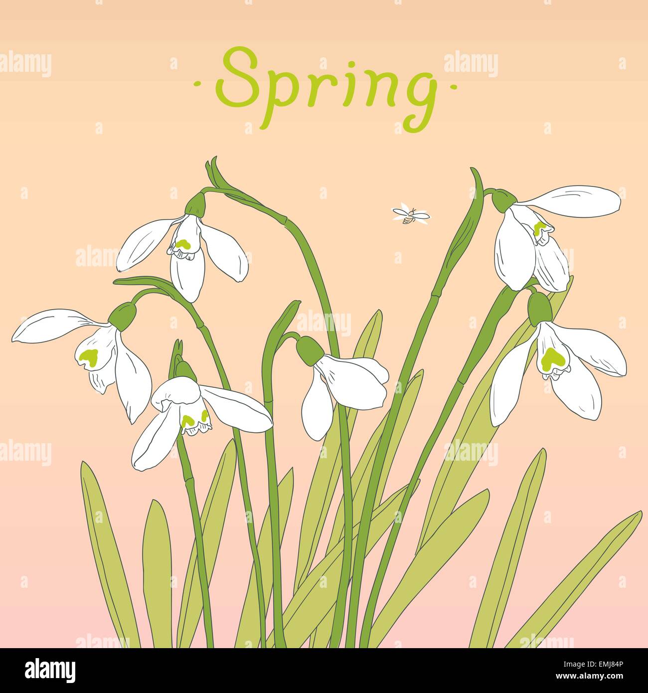 Snowdrops spring bouquet. Hand-drawn vector illustration. Card ...