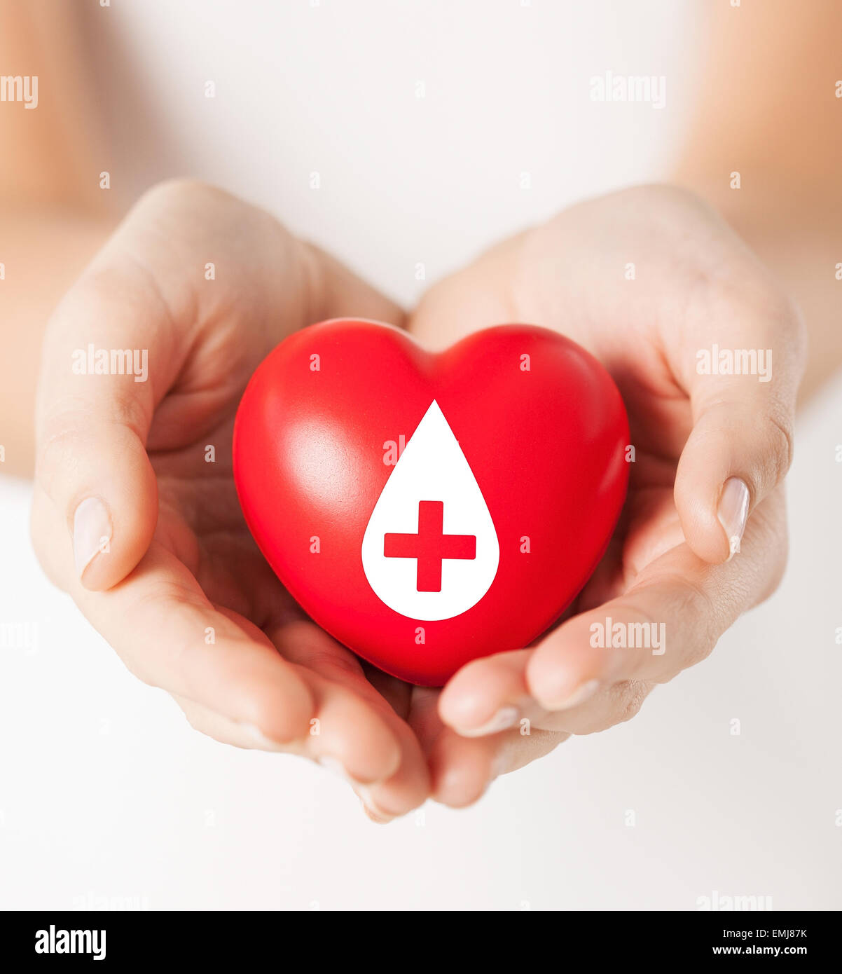 female hands holding red heart with donor sign Stock Photo - Alamy