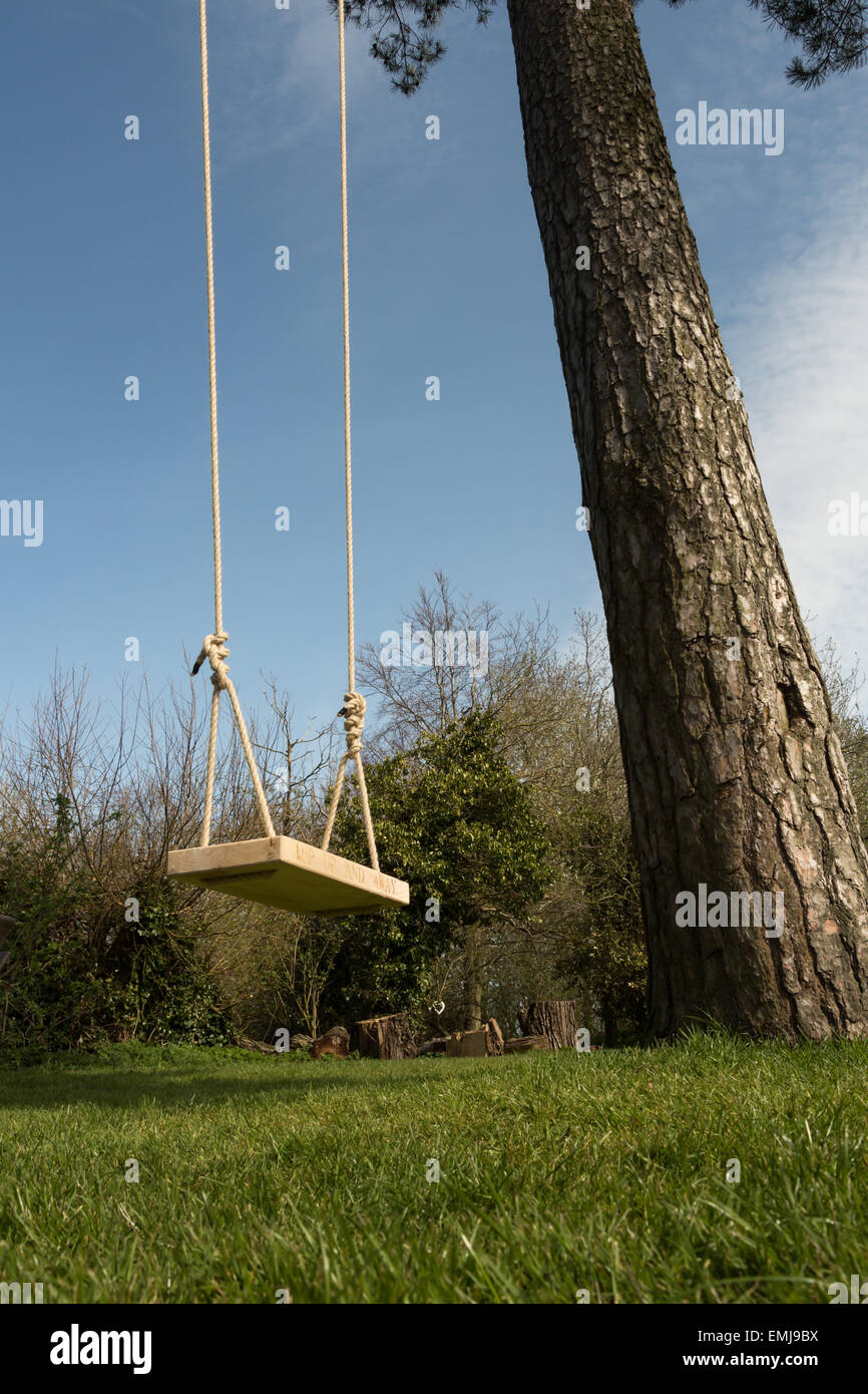 Tree swing in the garden with a tall tree, blue sky and green grass ...