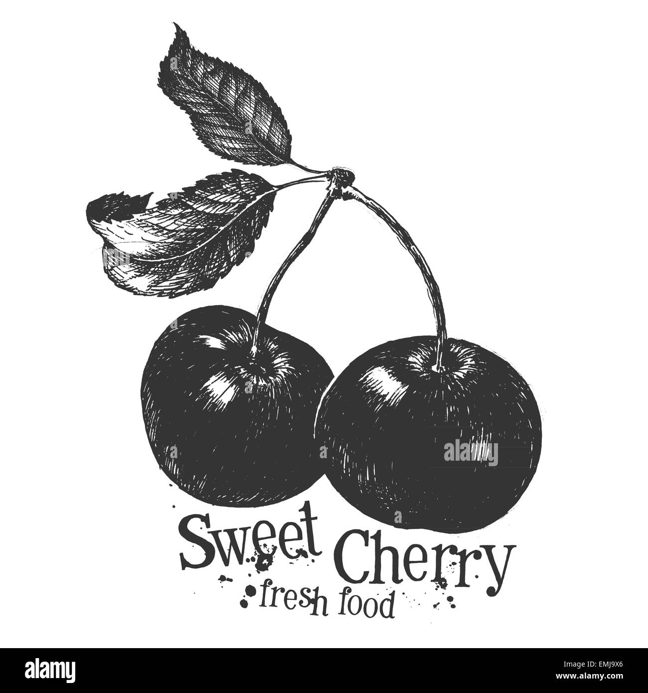 cherry on a white background. sketch Stock Photo