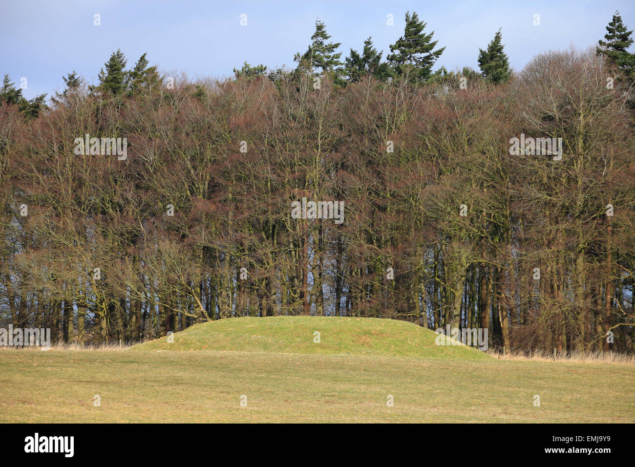 Bronze age burial mound near Anmer in Norfolk, UK. Stock Photo