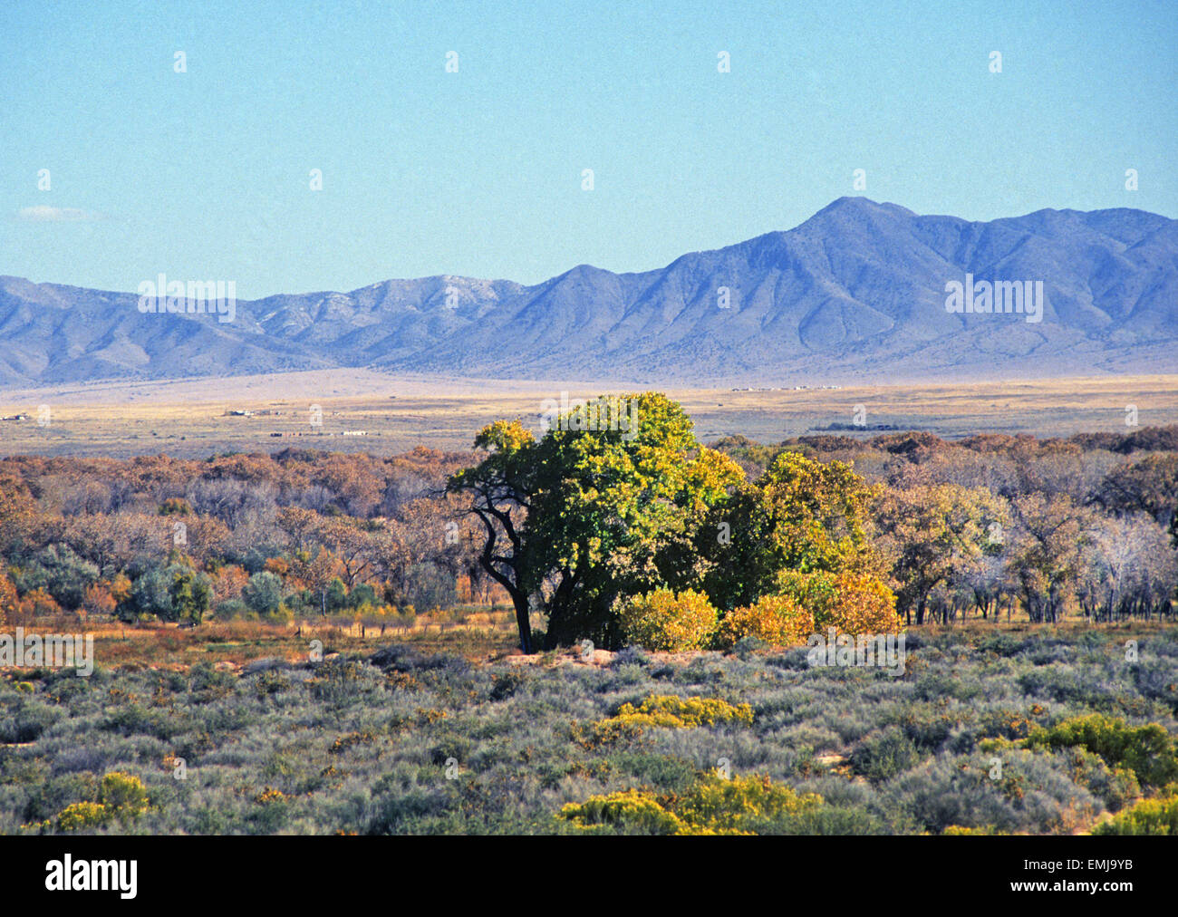 The Manzano Mountains and the bosque of the Rio Grande Valley in autumn