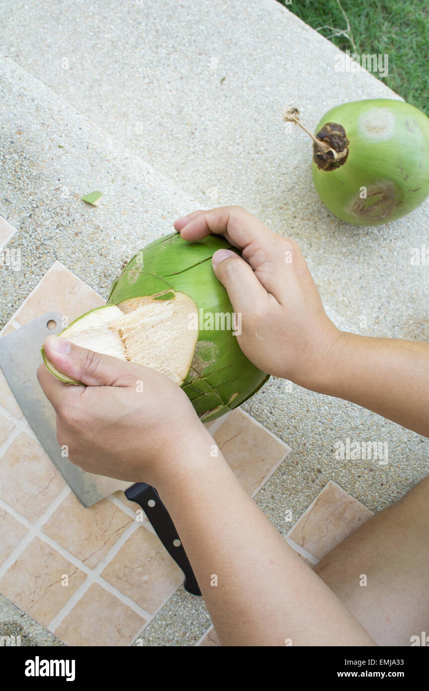 coconut drink tear apart fruit inside peel Stock Photo Alamy