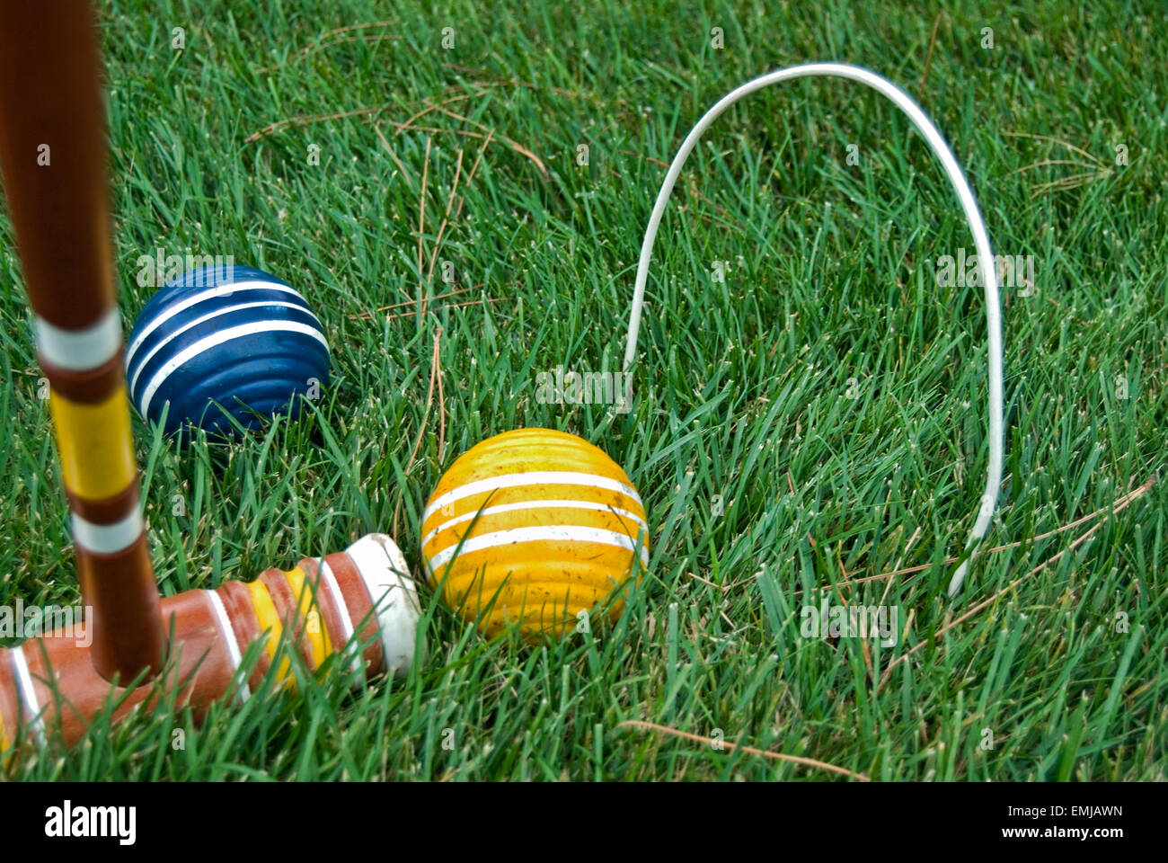 Croquet mallet and wooden croquet ball in grass with wicket. Stock Photo