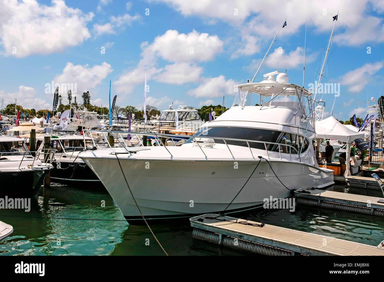 New boats on sale at the Suncoast boat show at the downtown waterfront