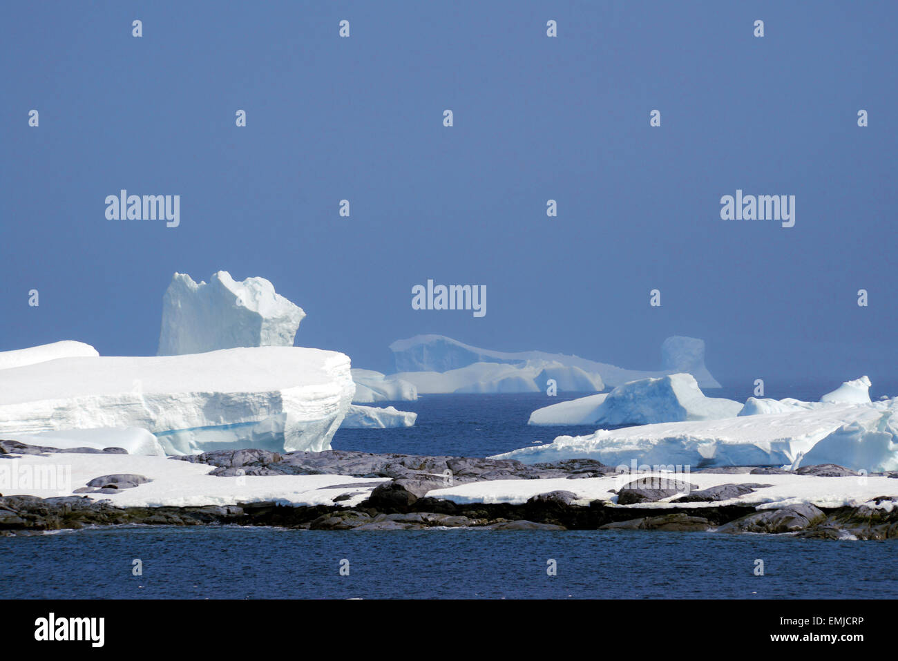 Floating icebergs off Peterman island Antarctic Peninsular Antartica Stock Photo