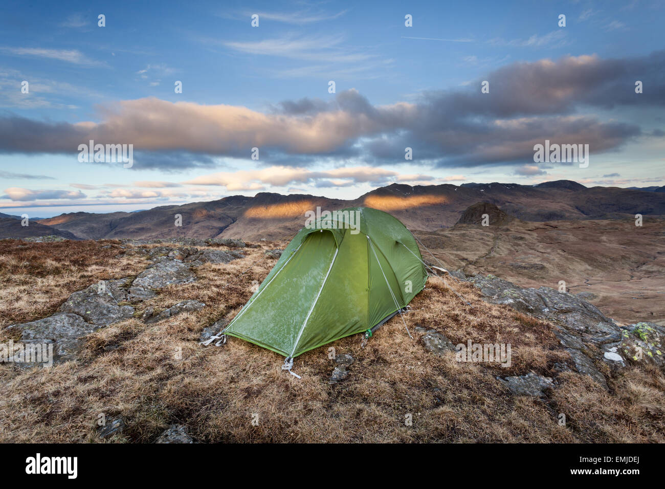 Wild Camping Tent On A Frosty Morning At Sunrise On Harrison Stickle Great Langdale Lake District Stock Photo Alamy