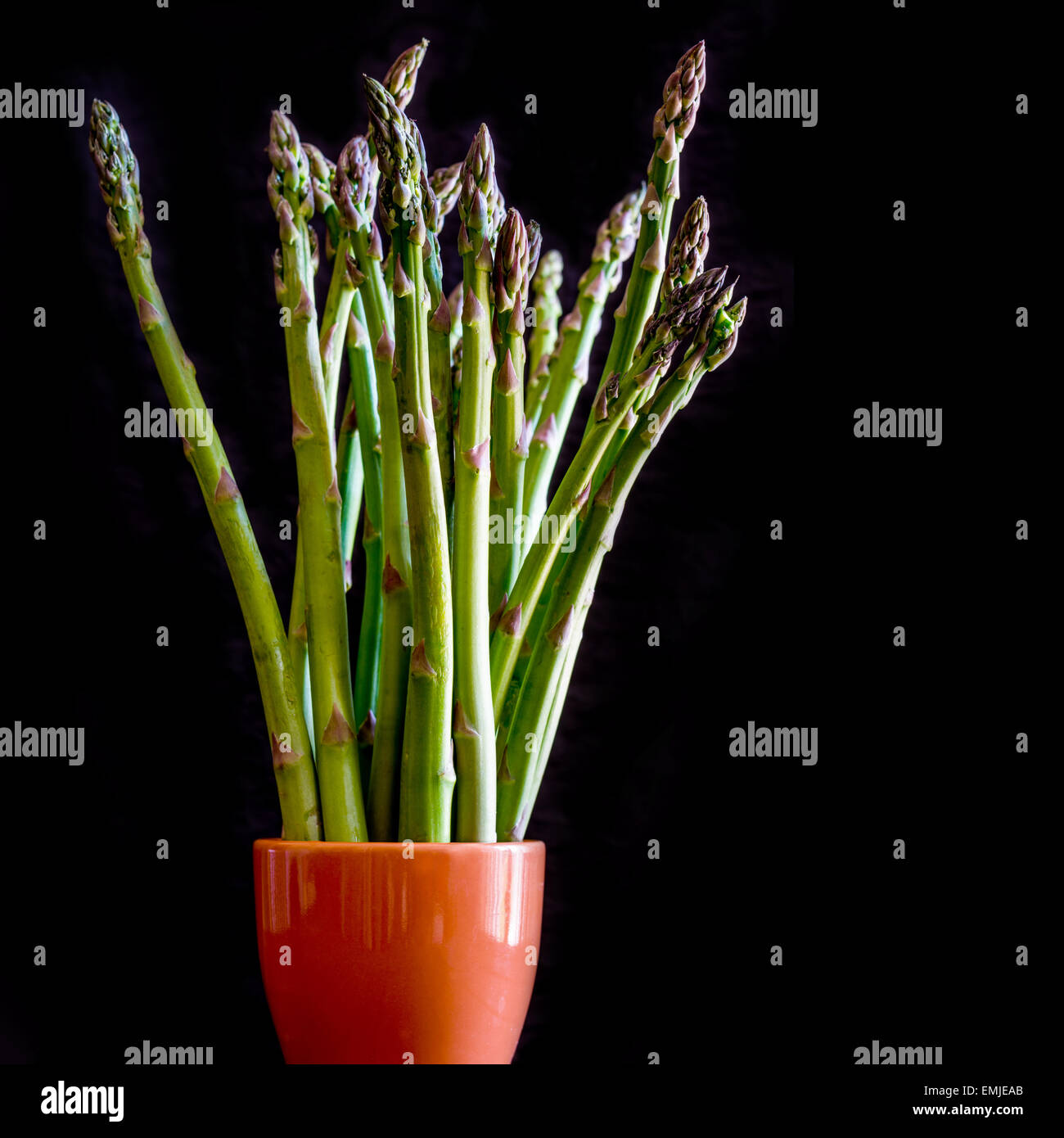 Green asparagus on black background Stock Photo Alamy