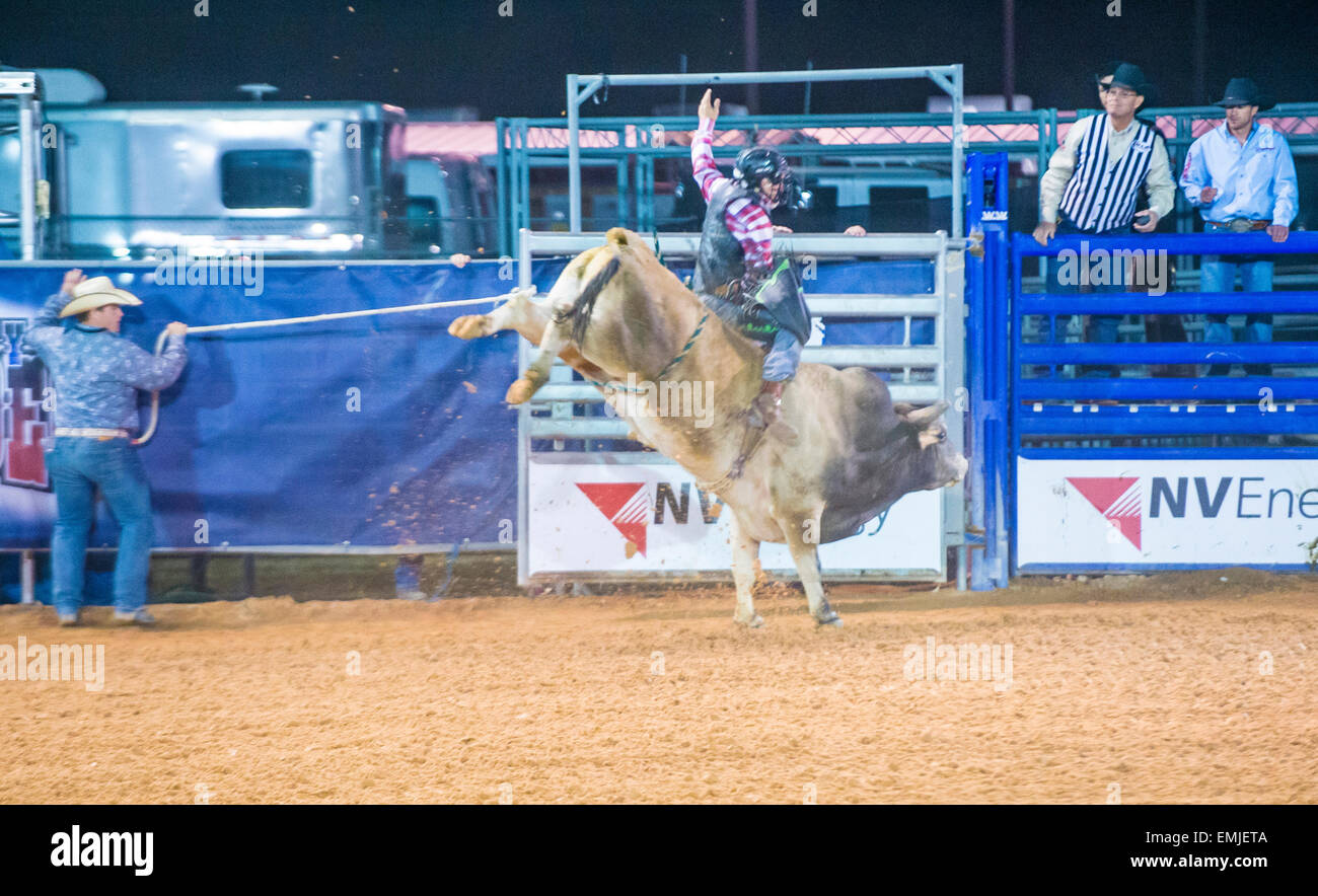 Cowboy Participating in a Bull riding Competition at the Clark County ...