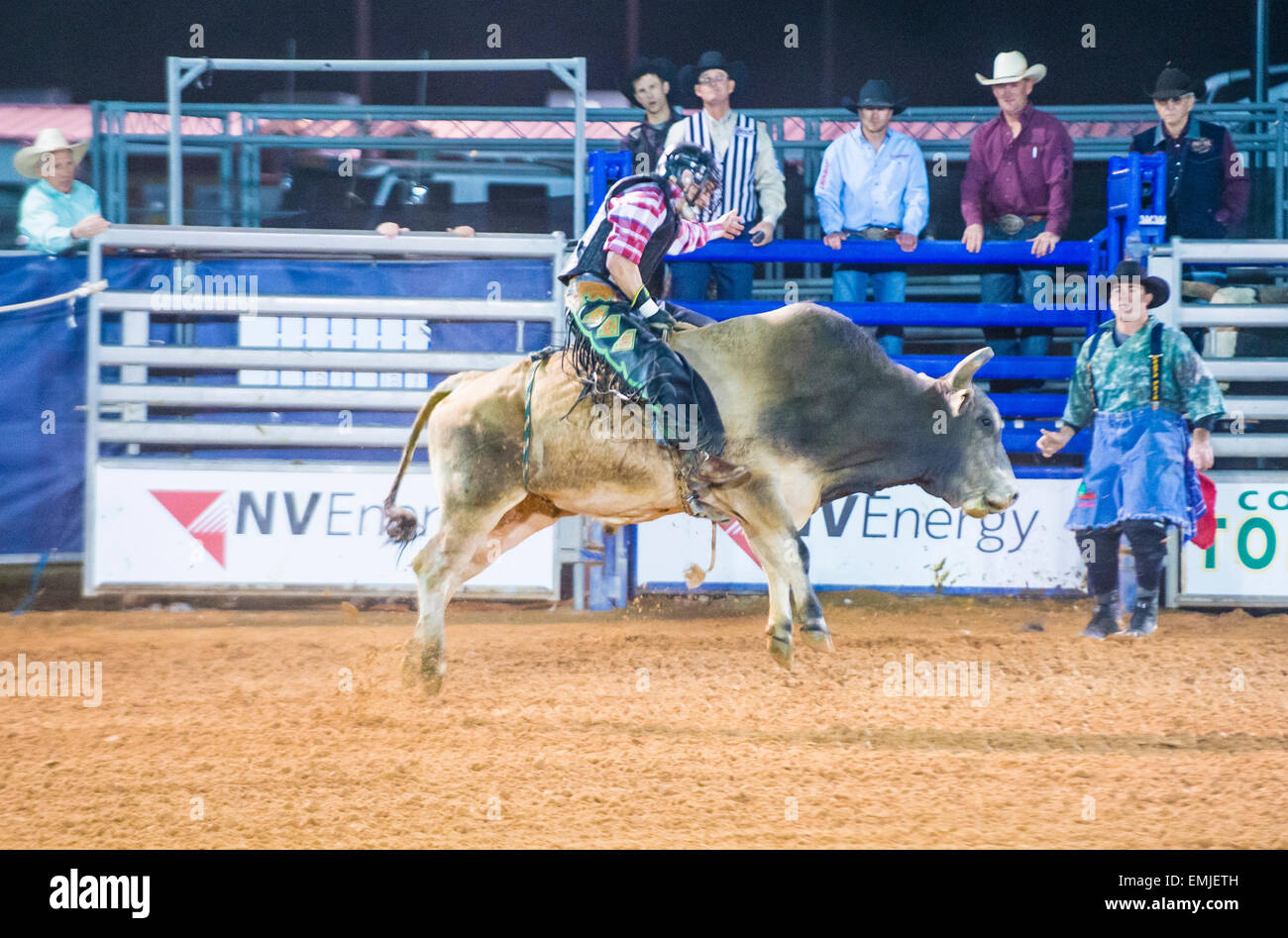 Cowboy Participating in a Bull riding Competition at the Clark County ...