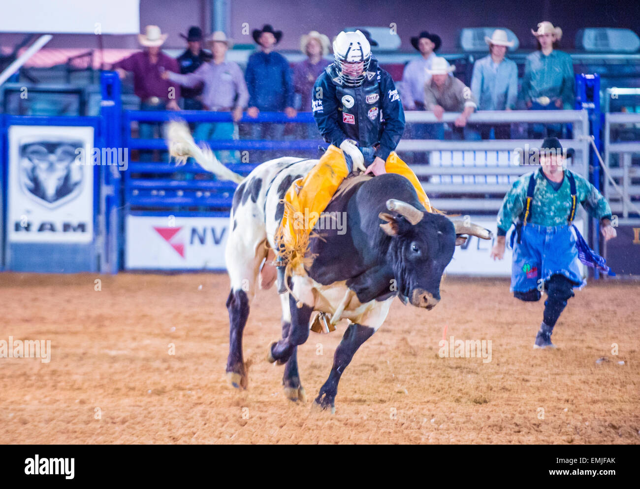 Cowboy Participating in a Bull riding Competition at the Clark County ...