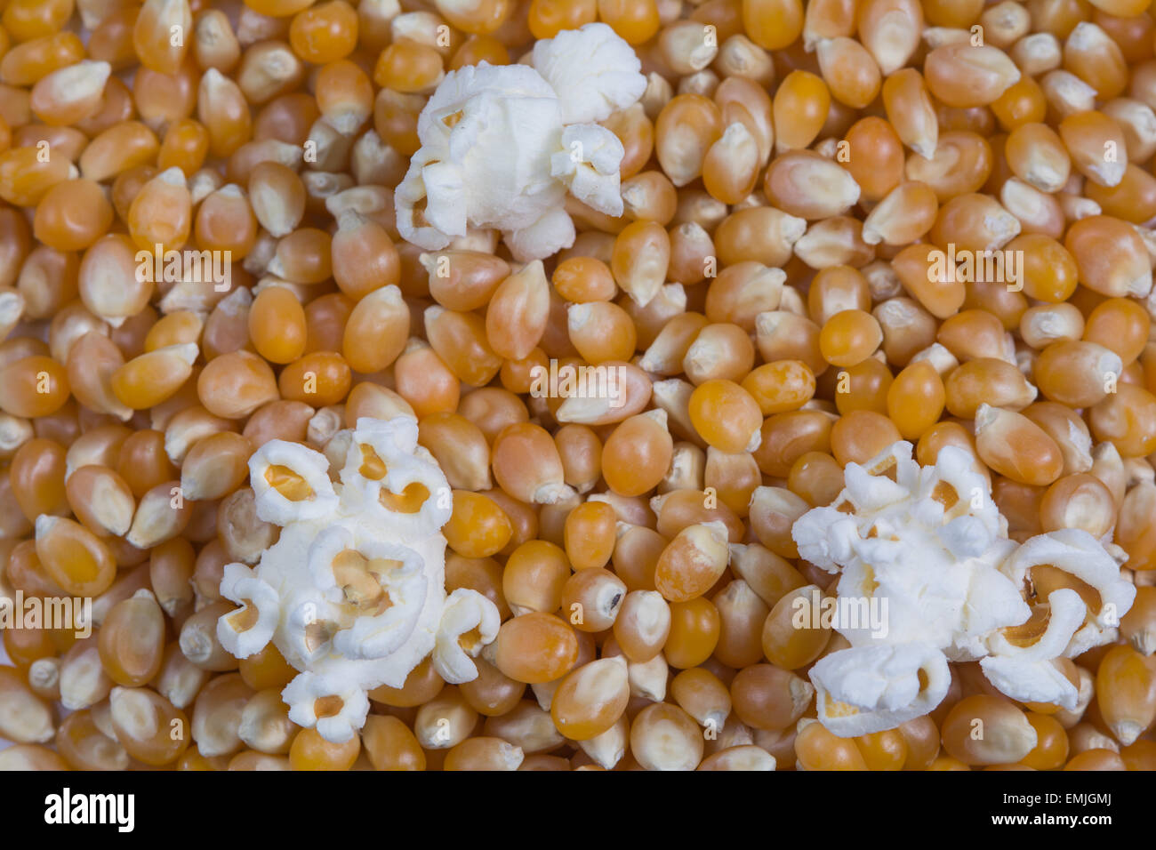Unpopped popcorn kernels background with a few popped pieces Stock