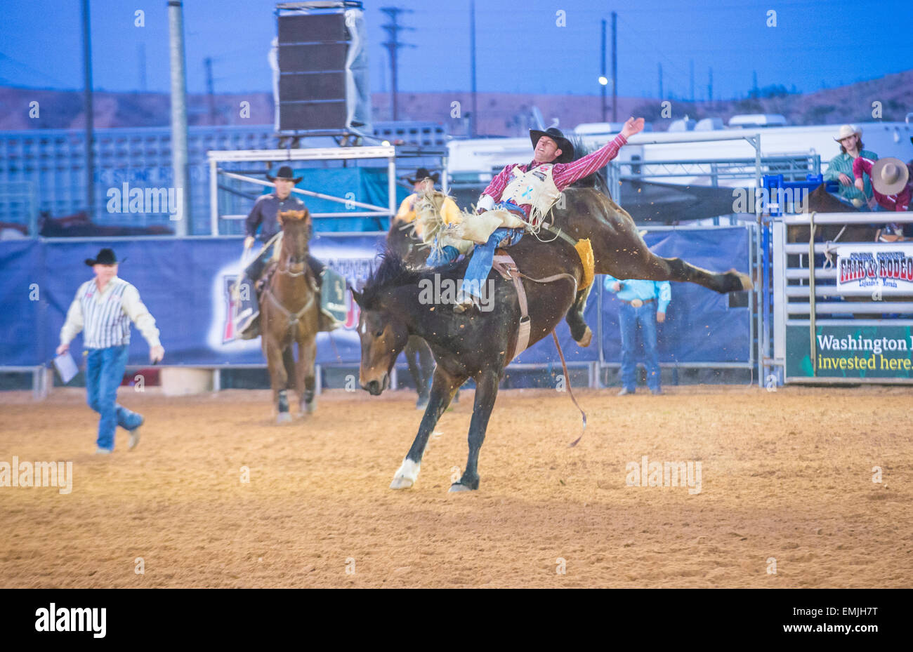 Cowboy Participating in a Bucking Horse Competition at the Clark County ...