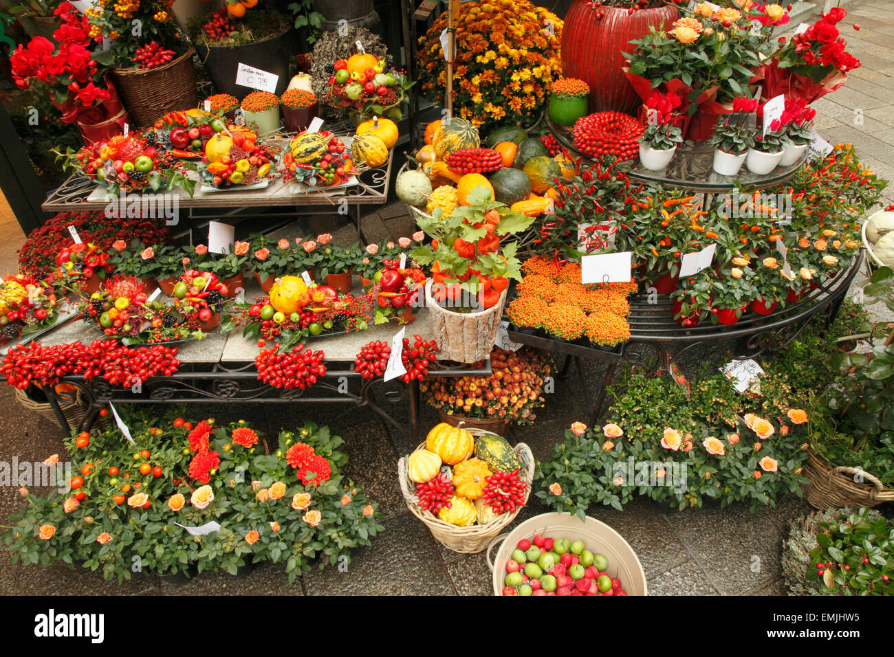 Flower shop austria hires stock photography and images Alamy