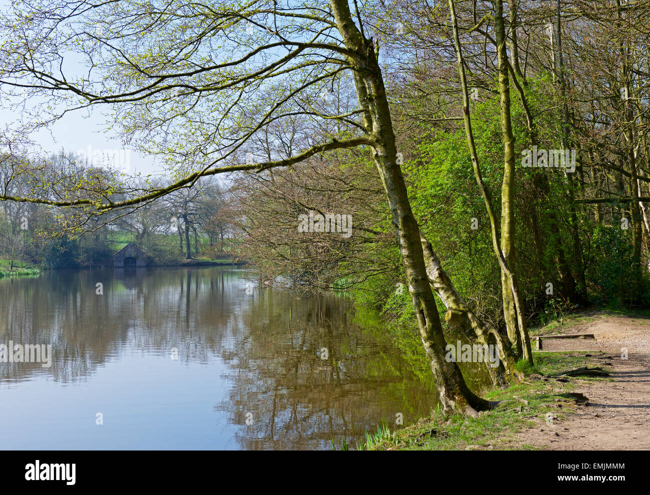 Pond at Biddulph Grange Country Park, Biddulph, Staffordshire, England