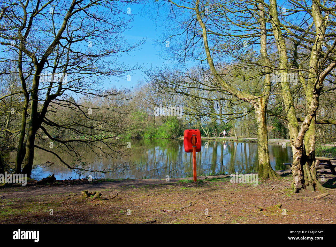 Pond at Biddulph Grange Country Park, Biddulph, Staffordshire, England UK Stock Photo