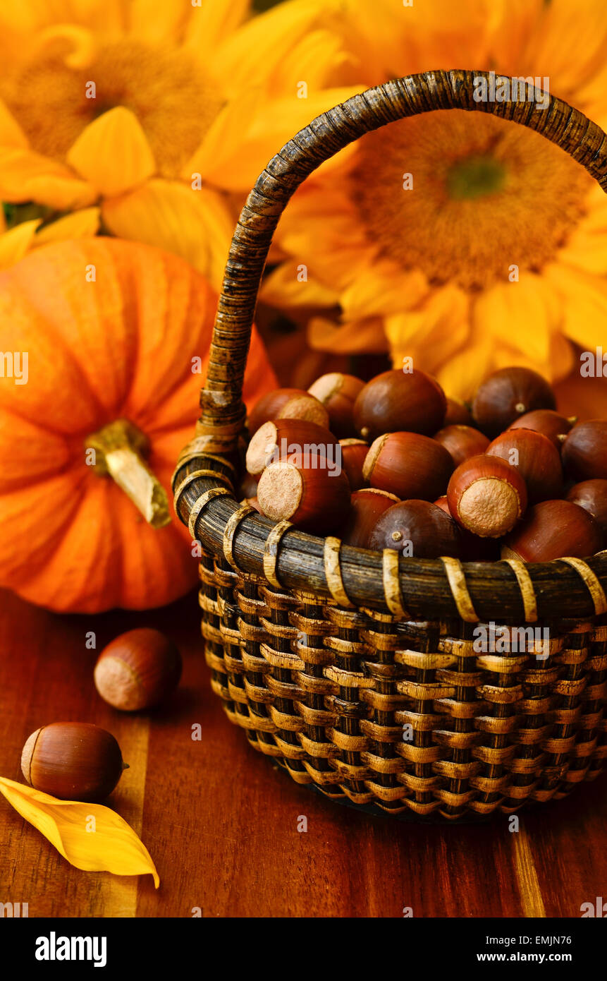 Acorns in a wicker basket with pumpkins and sunflowers Stock Photo Alamy