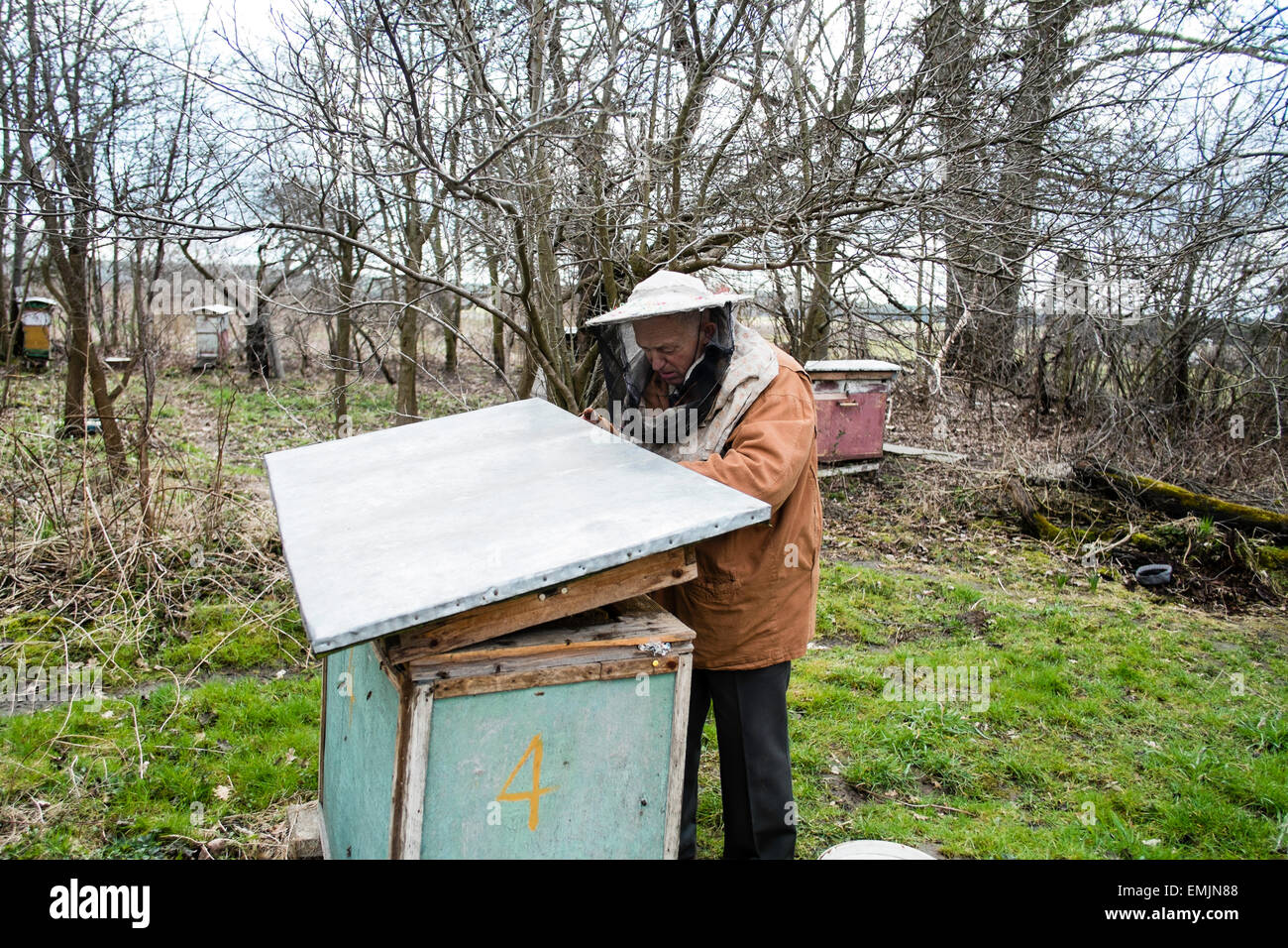 Rural apiary, Osiny, Poland Stock Photo