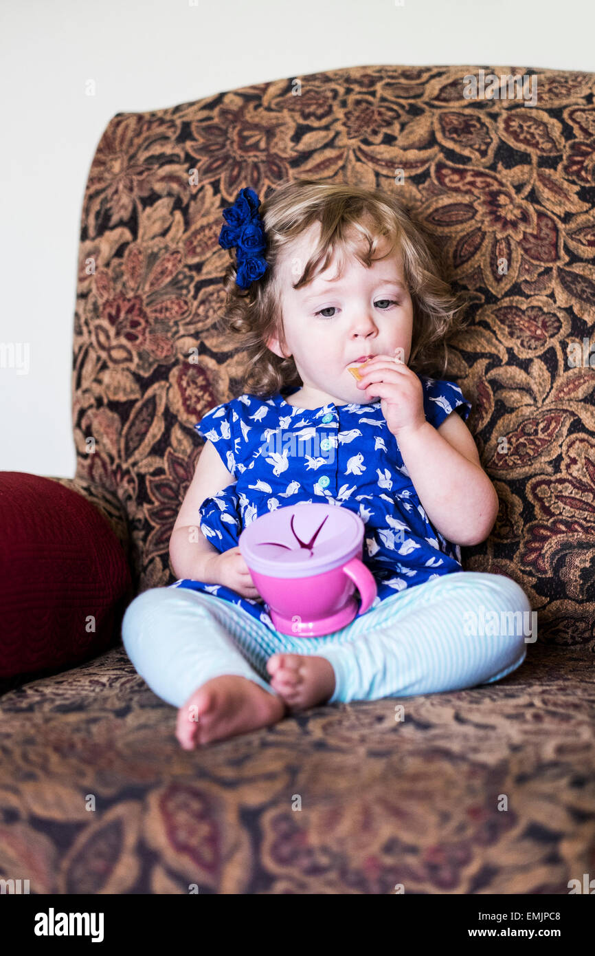 A Caucasian 14 month old female child, wearing a blue dress sits in a chair and eats crackers from a child's container. USA Stock Photo