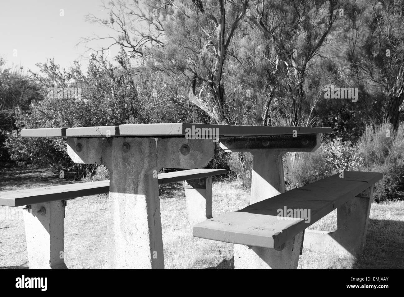 Campground table in Oak Grove Campground in Cleveland National Forest