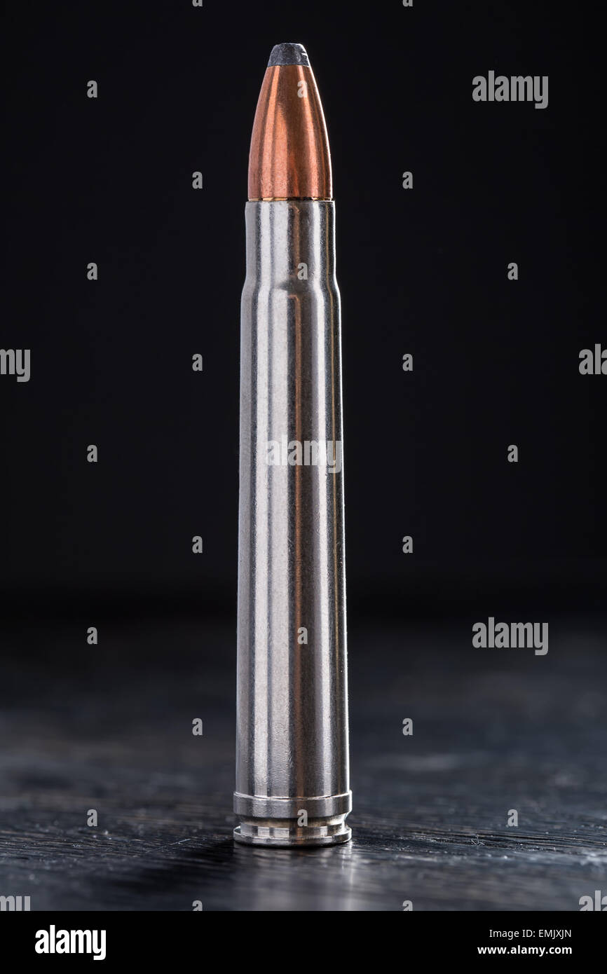 One cartridge with copper bullet and lead tip Stock Photo Alamy