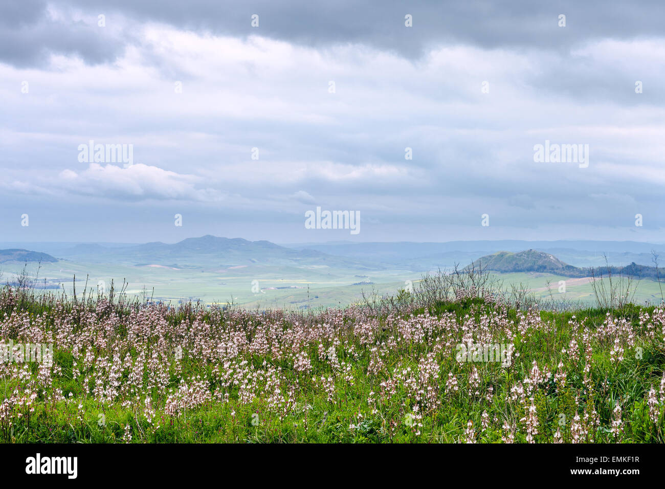 sicilian landscape in rainy spring day, Morgantina, Italy Stock Photo