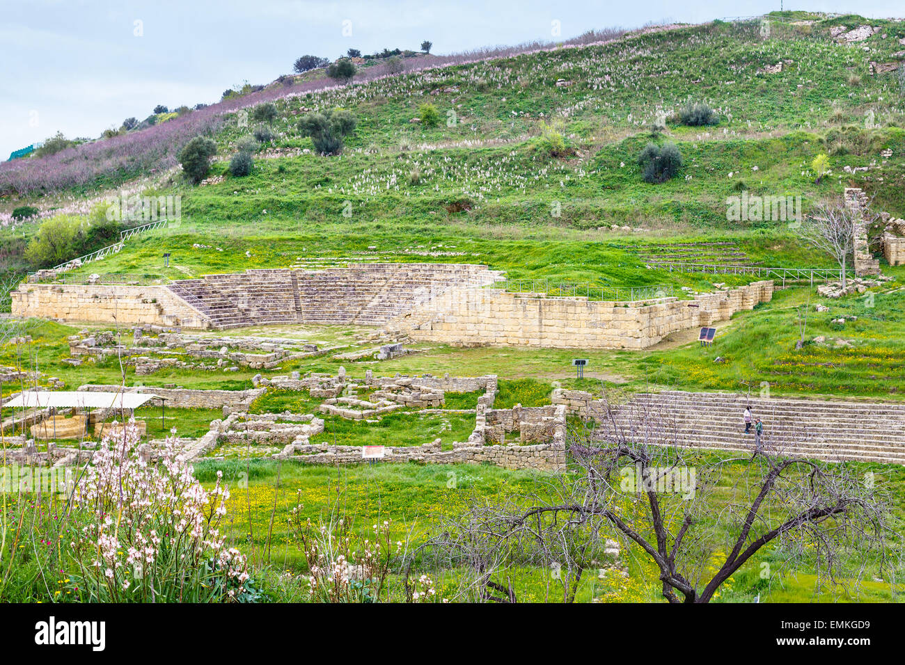 ancient greek theater and agora in Morgantina archaeological site, Sicily, Italy Stock Photo