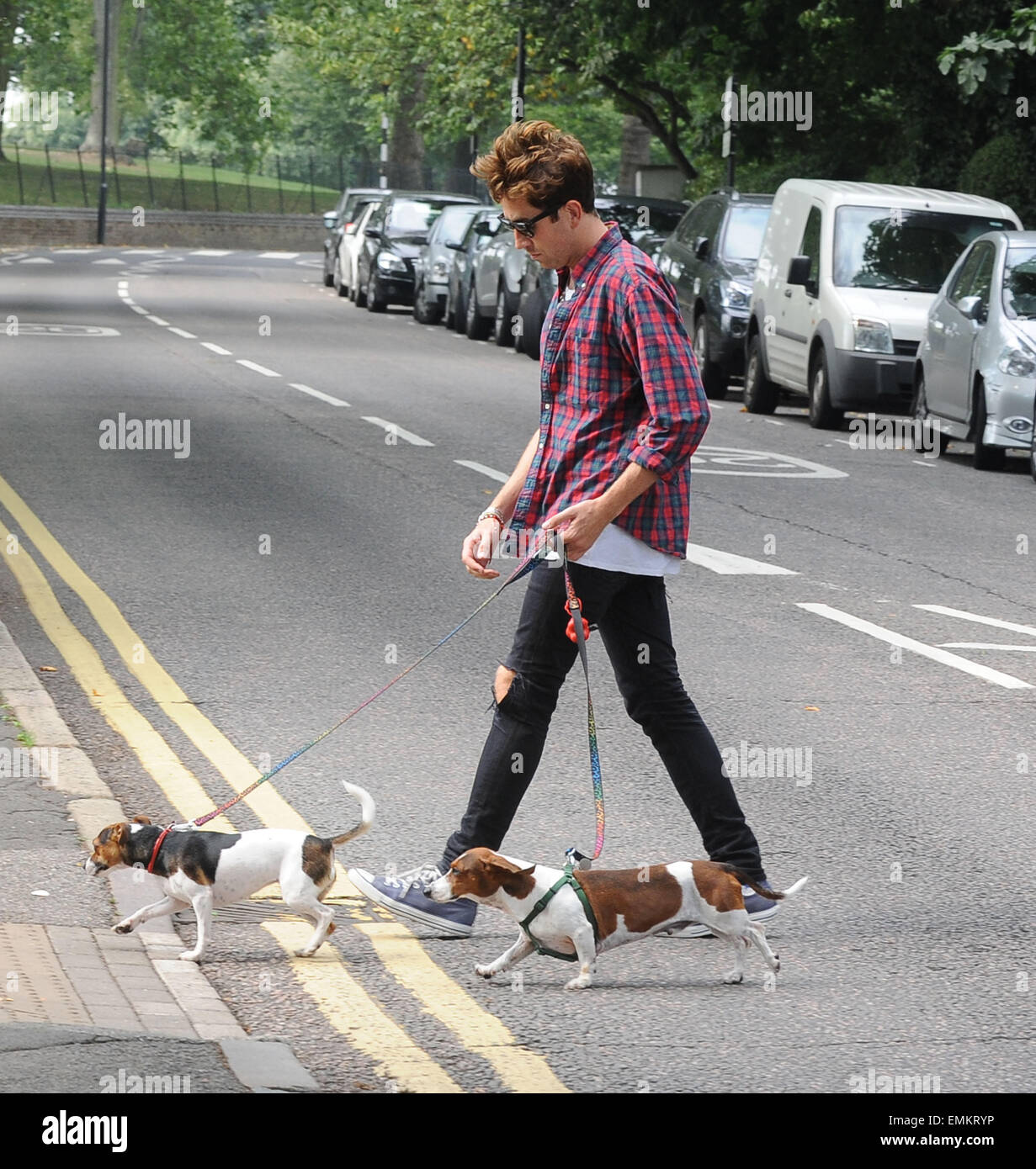 23 August 2013 London Nick Grimshaw Walks His Dogs In Primrose Hill Cleaning Up Ther Mess Along The Way Stock Photo Alamy