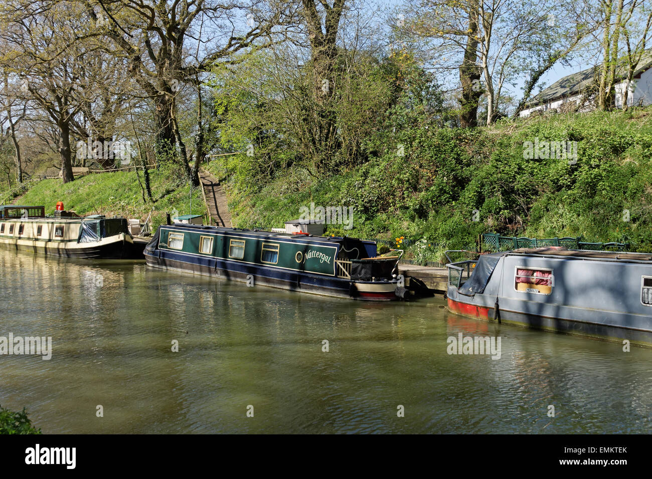 Narrow and wide beam canal boats moored on Kennet and Avon Canal Stock Photo