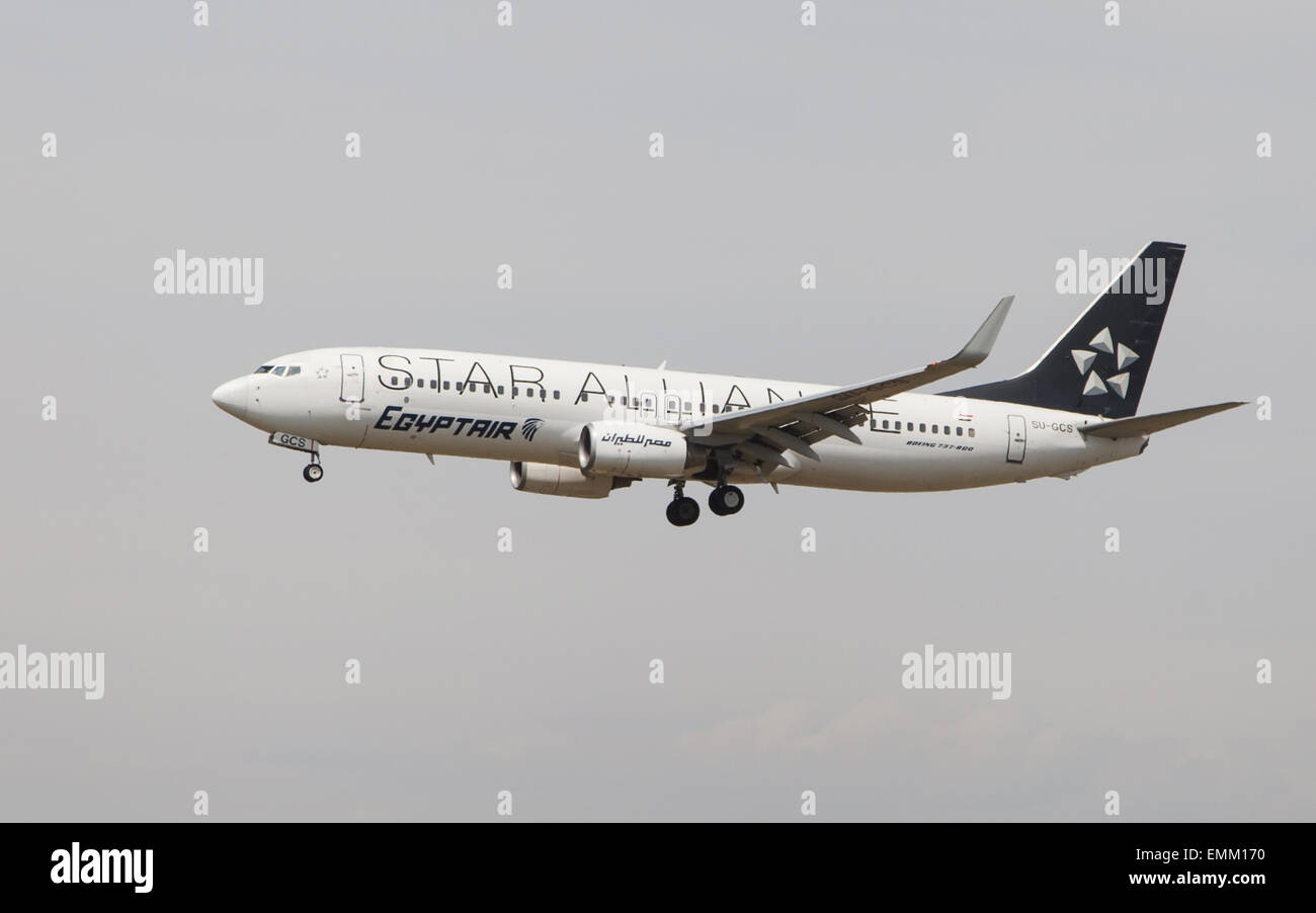 Egyptair Boeing 737 with Star Alliance special livery approaching to the El Prat Airport in Barcelona, Spain. Stock Photo