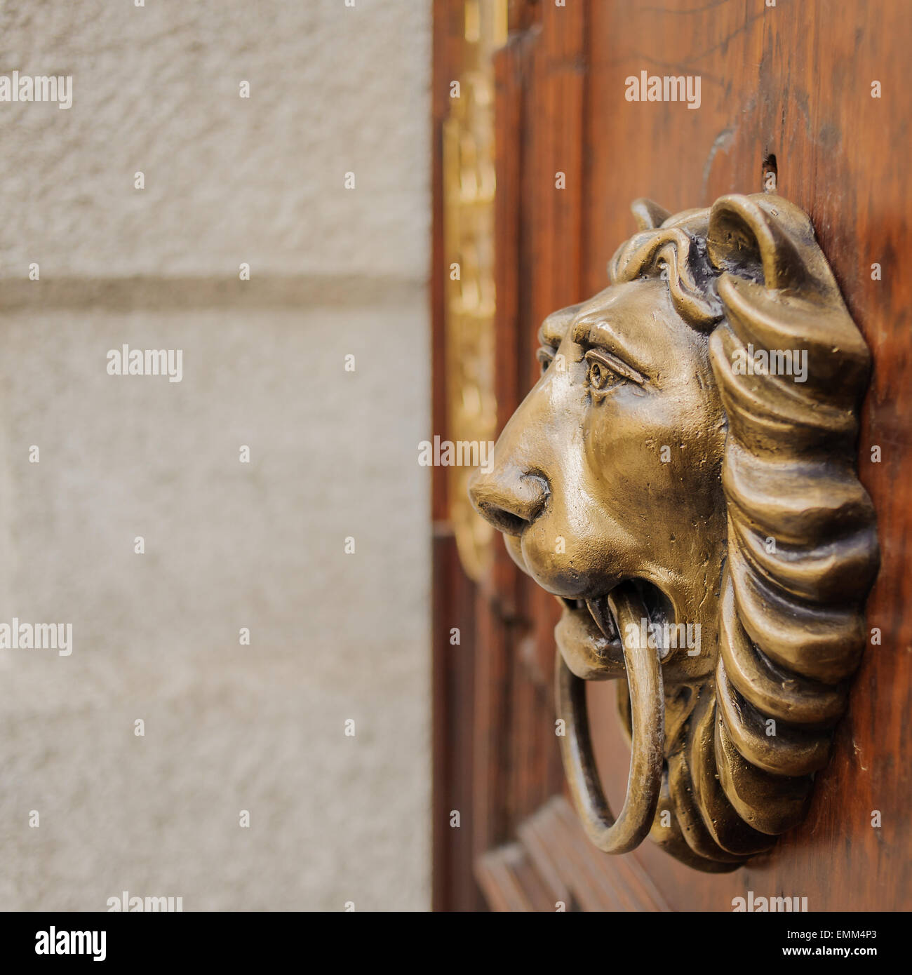 Knocker lion's head on a wooden door Stock Photo Alamy