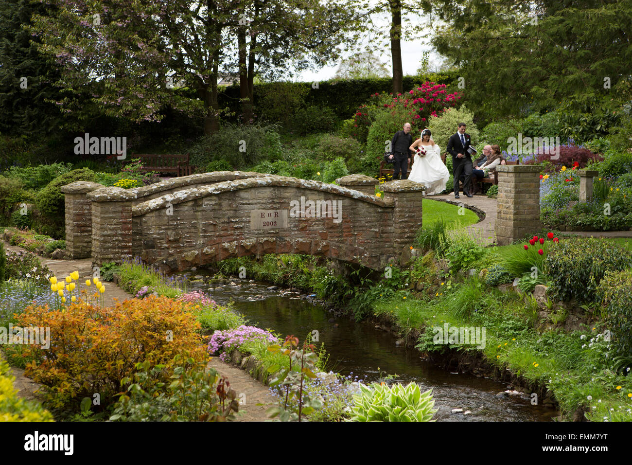 UK, England, Lancashire, Ribble Valley, Waddington, wedding couple having photographs taken in park Stock Photo