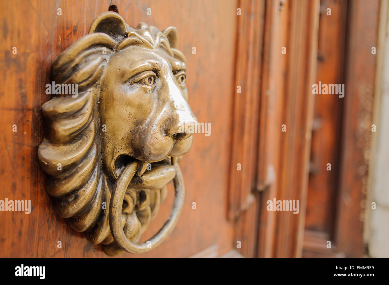 Knocker lion's head on a wooden door Stock Photo